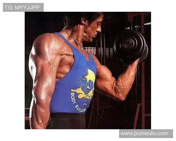 哑铃锻炼的最佳部位解析与全身肌肉塑造技巧分享